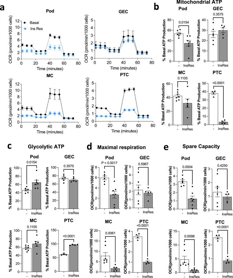 https://cdn.ncbi.nlm.nih.gov/pmc/blobs/5e2d/11576882/0f443546f4fe/41467_2024_54089_Fig8_HTML.jpg