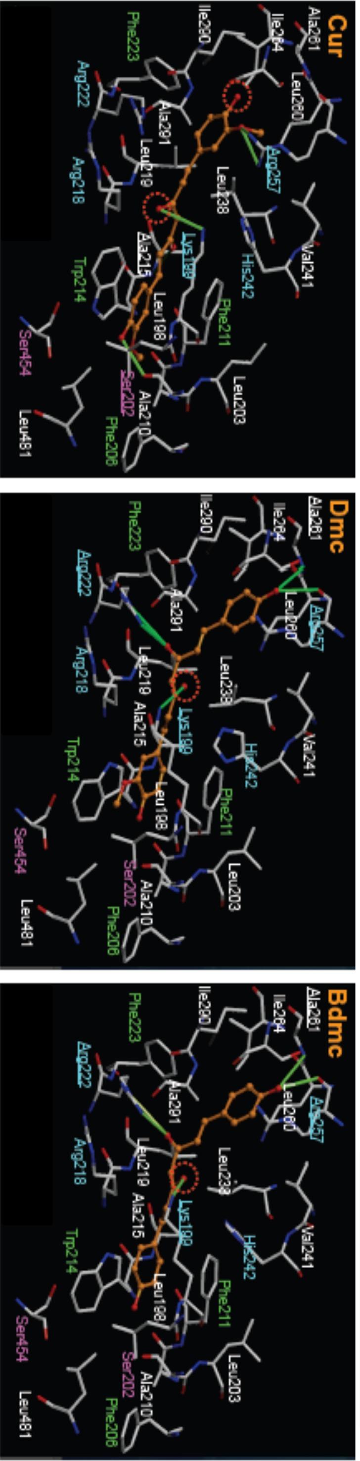 https://cdn.ncbi.nlm.nih.gov/pmc/blobs/5e33/3912132/2192a20c273b/pone.0087919.g007.jpg
