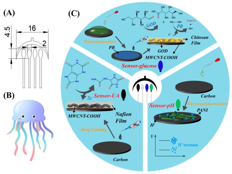 https://cdn.ncbi.nlm.nih.gov/pmc/blobs/5e35/11207310/20258ad39352/sensors-24-03729-g001.jpg