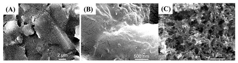 https://cdn.ncbi.nlm.nih.gov/pmc/blobs/5e35/11207310/671087a1497a/sensors-24-03729-g003.jpg