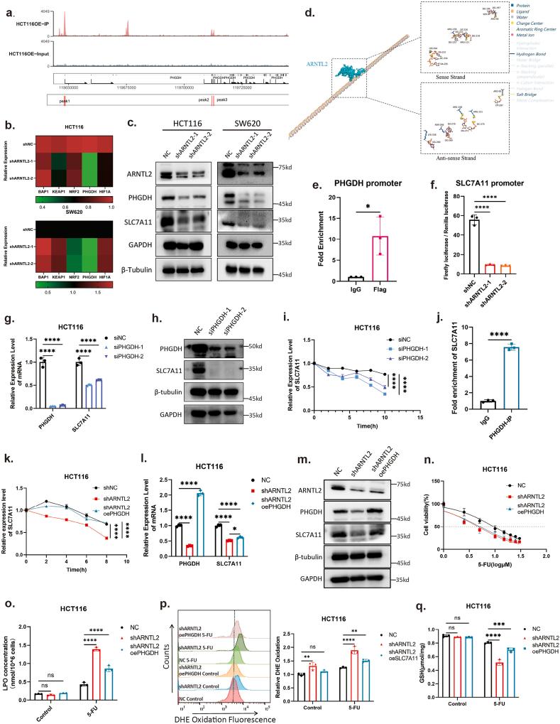 https://cdn.ncbi.nlm.nih.gov/pmc/blobs/5e35/12341712/d1f3300375eb/gr5.jpg