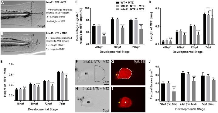 https://cdn.ncbi.nlm.nih.gov/pmc/blobs/5e39/5805328/4d94eb0bd439/pone.0192500.g006.jpg