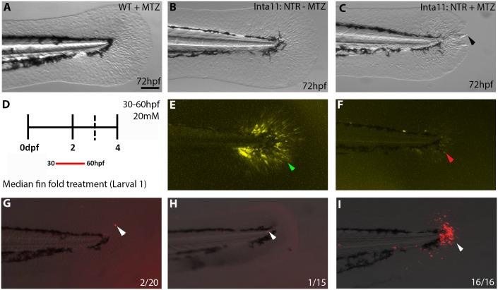 https://cdn.ncbi.nlm.nih.gov/pmc/blobs/5e39/5805328/c48be377ab38/pone.0192500.g002.jpg