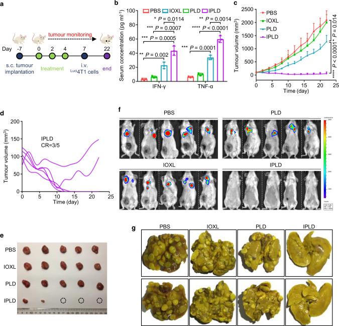 https://cdn.ncbi.nlm.nih.gov/pmc/blobs/5e39/8065121/1d9514eb1cc0/41467_2021_22407_Fig8_HTML.jpg