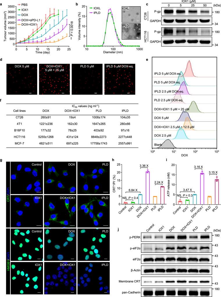 https://cdn.ncbi.nlm.nih.gov/pmc/blobs/5e39/8065121/3beabbe8b9d8/41467_2021_22407_Fig2_HTML.jpg