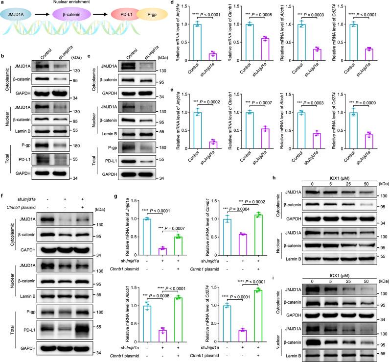 https://cdn.ncbi.nlm.nih.gov/pmc/blobs/5e39/8065121/4d799b22a7d1/41467_2021_22407_Fig4_HTML.jpg