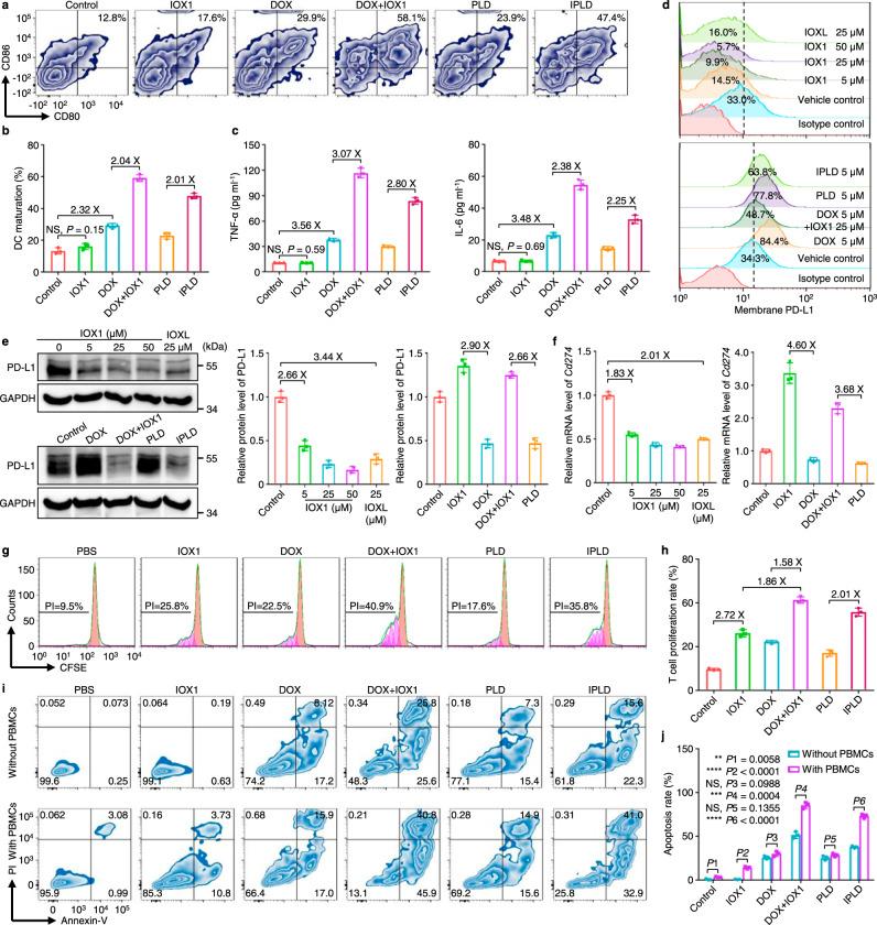 https://cdn.ncbi.nlm.nih.gov/pmc/blobs/5e39/8065121/adfce63a38a3/41467_2021_22407_Fig3_HTML.jpg