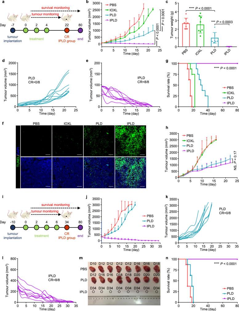 https://cdn.ncbi.nlm.nih.gov/pmc/blobs/5e39/8065121/e7868ff3ca40/41467_2021_22407_Fig5_HTML.jpg