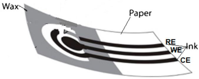 https://cdn.ncbi.nlm.nih.gov/pmc/blobs/5e3a/9775995/70cc76d545fd/biosensors-12-01088-g004.jpg