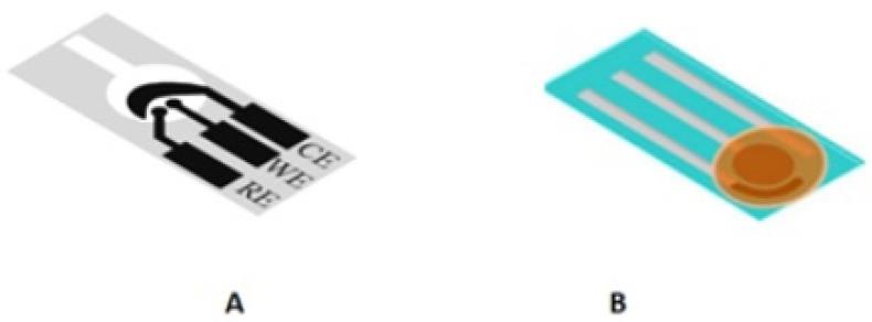 https://cdn.ncbi.nlm.nih.gov/pmc/blobs/5e3a/9775995/a8793fcd511a/biosensors-12-01088-g001.jpg