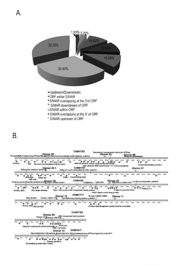 https://cdn.ncbi.nlm.nih.gov/pmc/blobs/5e3b/3017767/ac9700e3a2f4/1471-2164-11-386-2.jpg