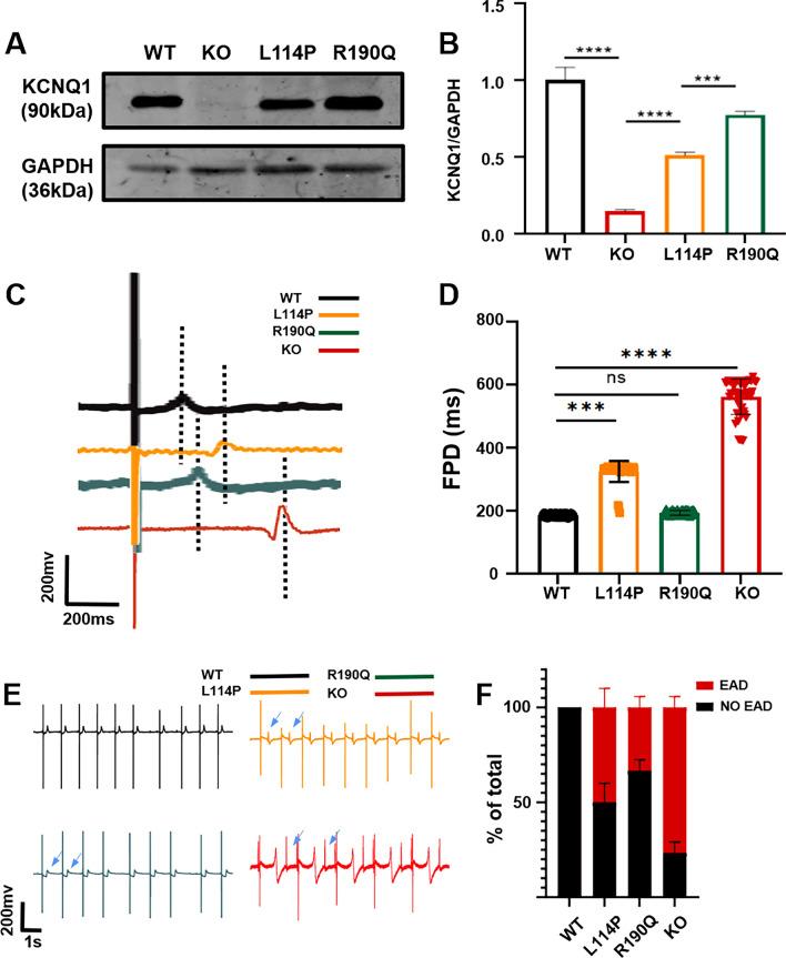 https://cdn.ncbi.nlm.nih.gov/pmc/blobs/5e3b/9241307/6541f888151f/13287_2022_2964_Fig1_HTML.jpg