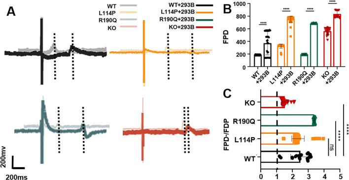 https://cdn.ncbi.nlm.nih.gov/pmc/blobs/5e3b/9241307/afa4cf92aedc/13287_2022_2964_Fig2_HTML.jpg