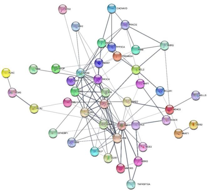https://cdn.ncbi.nlm.nih.gov/pmc/blobs/5e3d/12065876/c365ac71d750/41598_2025_91968_Fig2_HTML.jpg