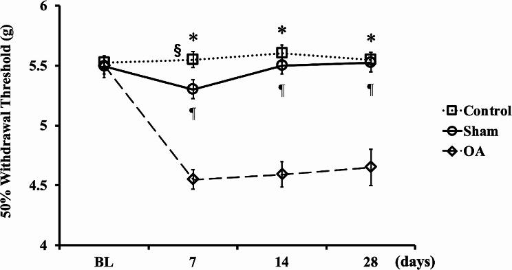 https://cdn.ncbi.nlm.nih.gov/pmc/blobs/5e3e/11181635/01fc958b0a9f/13018_2024_4847_Fig3_HTML.jpg