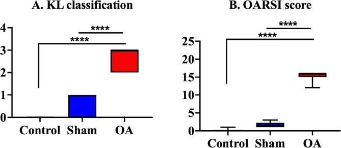 https://cdn.ncbi.nlm.nih.gov/pmc/blobs/5e3e/11181635/62853d3d68c0/13018_2024_4847_Fig2_HTML.jpg