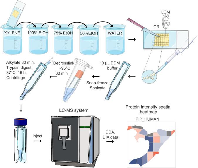 https://cdn.ncbi.nlm.nih.gov/pmc/blobs/5e3f/11162451/0e5335293601/42003_2024_6354_Fig1_HTML.jpg