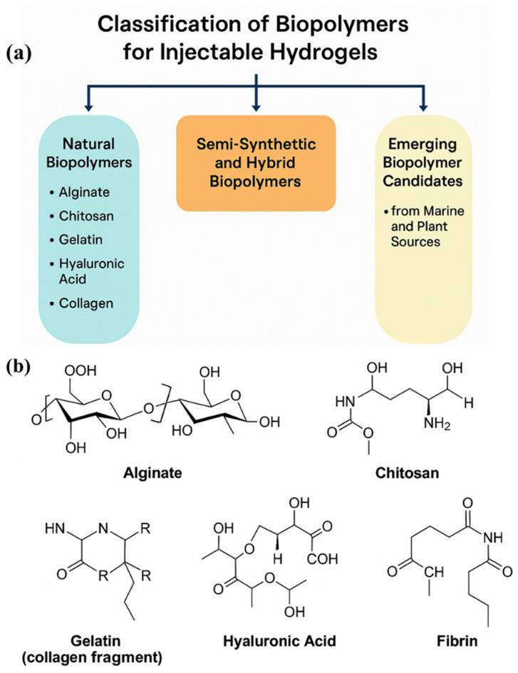 https://cdn.ncbi.nlm.nih.gov/pmc/blobs/5e41/12192118/1982444ca785/gels-11-00383-g002.jpg