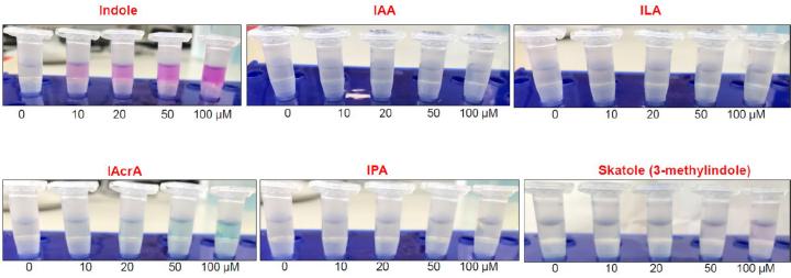 https://cdn.ncbi.nlm.nih.gov/pmc/blobs/5e43/11306097/4bceedcca6d7/41564_2024_1737_Fig14_ESM.jpg