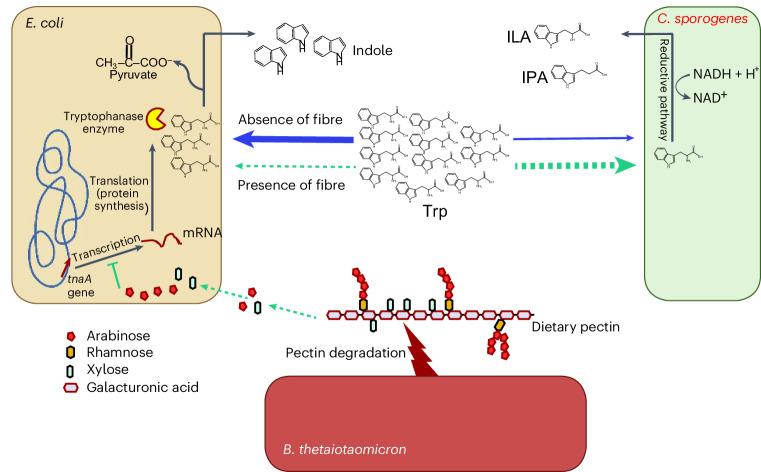 https://cdn.ncbi.nlm.nih.gov/pmc/blobs/5e43/11306097/e9c6e9b6be97/41564_2024_1737_Fig6_HTML.jpg