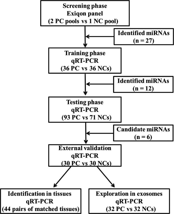 https://cdn.ncbi.nlm.nih.gov/pmc/blobs/5e43/6558458/6de939c9eb9a/CAM4-8-2810-g001.jpg
