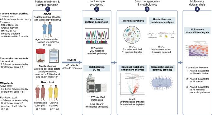 https://cdn.ncbi.nlm.nih.gov/pmc/blobs/5e46/12102337/1810243fbff7/41467_2025_59566_Fig6_HTML.jpg