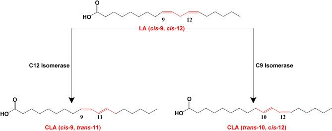 https://cdn.ncbi.nlm.nih.gov/pmc/blobs/5e47/12254105/9b5ef0547538/40643_2025_911_Fig2_HTML.jpg