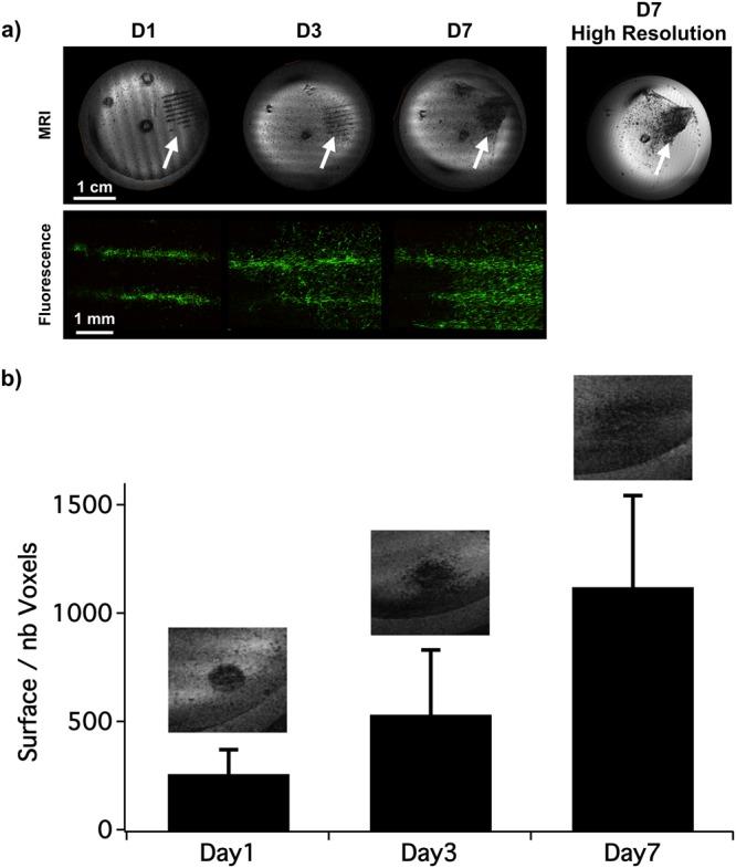 https://cdn.ncbi.nlm.nih.gov/pmc/blobs/5e47/6202323/f67b4ac9f558/41598_2018_34226_Fig4_HTML.jpg