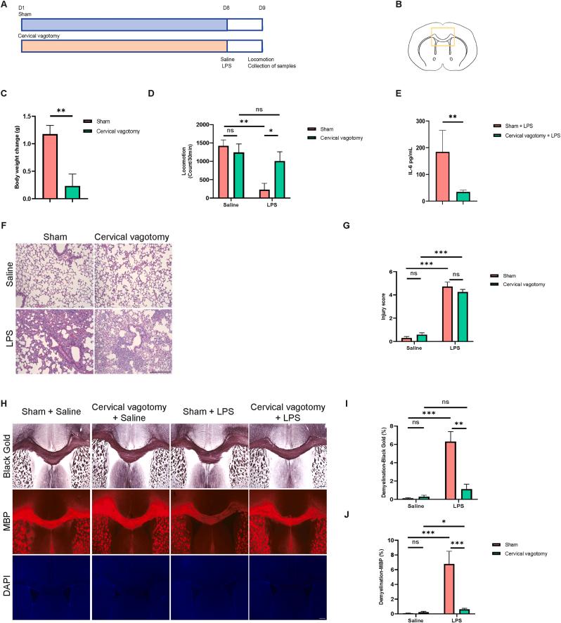 https://cdn.ncbi.nlm.nih.gov/pmc/blobs/5e48/11871466/3f9d37191aab/gr2.jpg