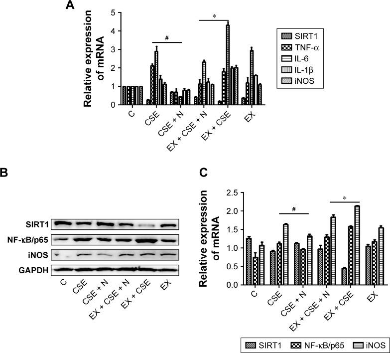 https://cdn.ncbi.nlm.nih.gov/pmc/blobs/5e4c/6136406/4fb618eb52a4/copd-13-2821Fig5.jpg