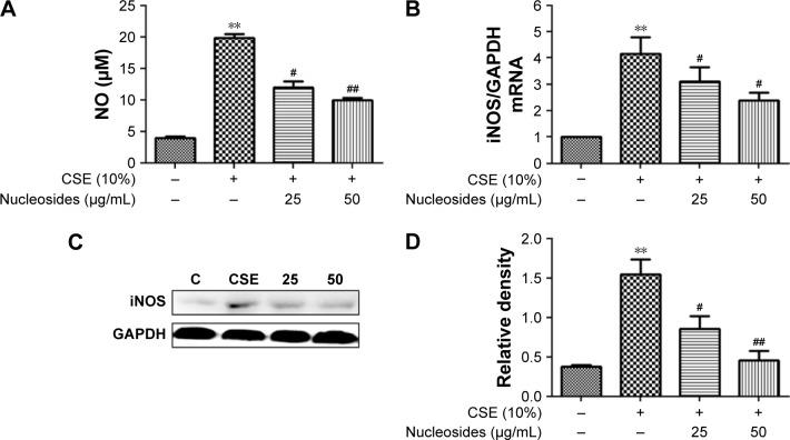 https://cdn.ncbi.nlm.nih.gov/pmc/blobs/5e4c/6136406/58f1e1d4e704/copd-13-2821Fig2.jpg