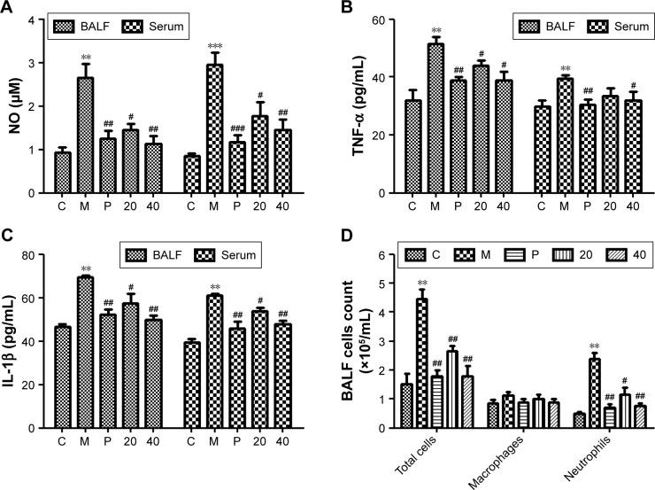 https://cdn.ncbi.nlm.nih.gov/pmc/blobs/5e4c/6136406/5a382227b127/copd-13-2821Fig6.jpg