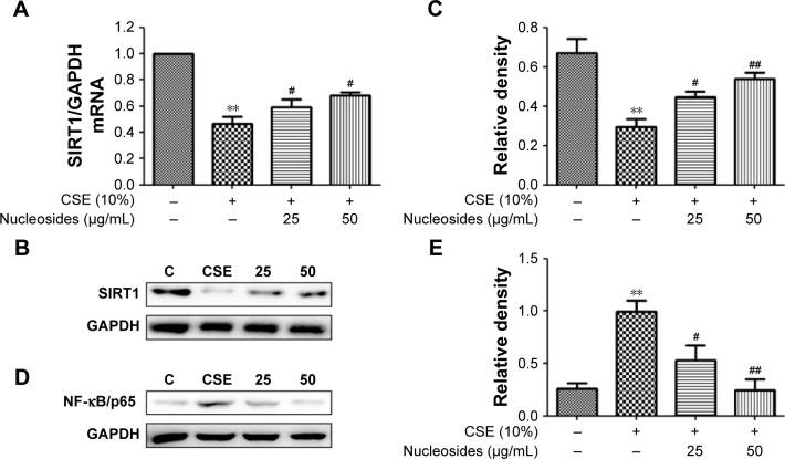 https://cdn.ncbi.nlm.nih.gov/pmc/blobs/5e4c/6136406/ff058e0f88fe/copd-13-2821Fig4.jpg