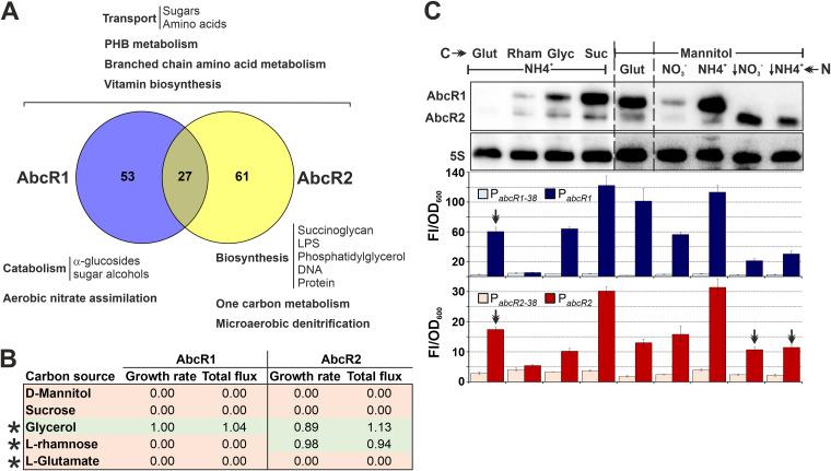 https://cdn.ncbi.nlm.nih.gov/pmc/blobs/5e4c/8844928/ddc033314df2/mbio.03576-21-f005.jpg