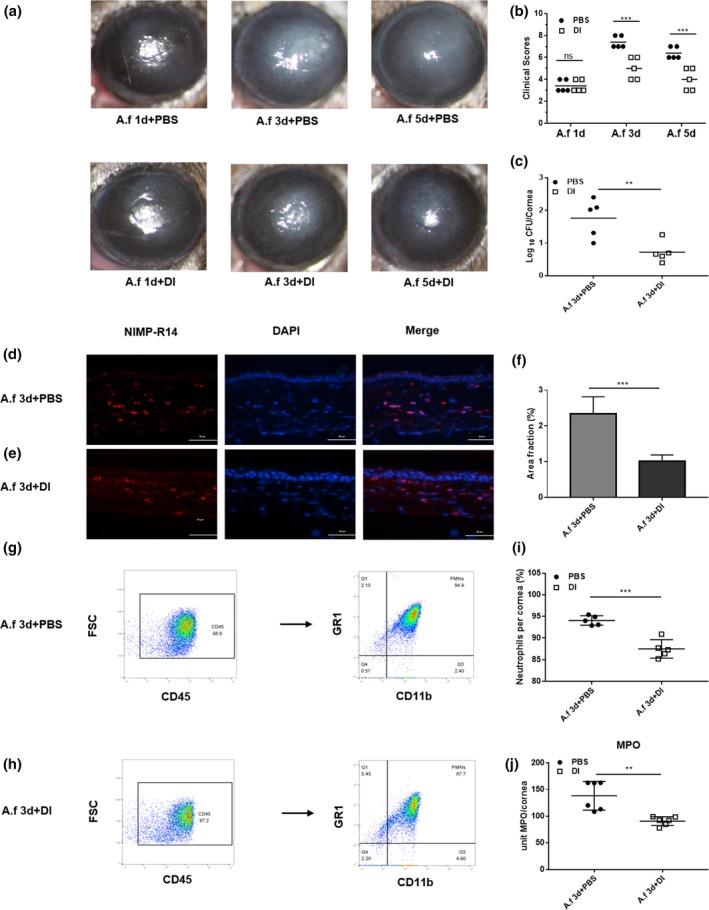 https://cdn.ncbi.nlm.nih.gov/pmc/blobs/5e4d/7065235/7737f2f7a1d5/IMCB-98-229-g001.jpg