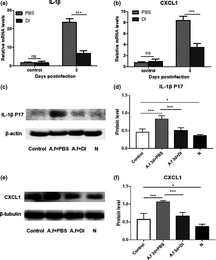 https://cdn.ncbi.nlm.nih.gov/pmc/blobs/5e4d/7065235/ed9f9fbc5d77/IMCB-98-229-g002.jpg