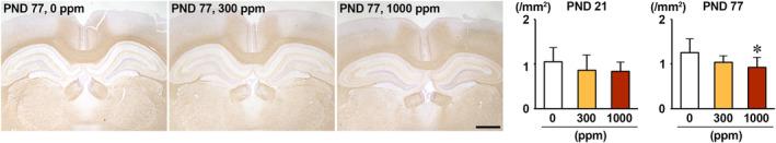 https://cdn.ncbi.nlm.nih.gov/pmc/blobs/5e53/11628657/1b14a4ac0c0e/TOX-40-30-g005.jpg
