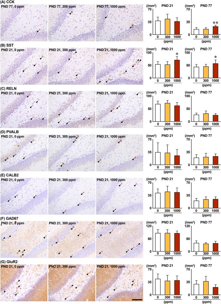 https://cdn.ncbi.nlm.nih.gov/pmc/blobs/5e53/11628657/dec70bfa54a0/TOX-40-30-g009.jpg