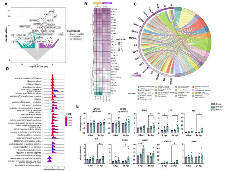 https://cdn.ncbi.nlm.nih.gov/pmc/blobs/5e54/10056985/8d005471d871/viruses-15-00745-g003.jpg