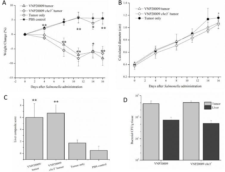 https://cdn.ncbi.nlm.nih.gov/pmc/blobs/5e54/5464893/bc5ae53e9087/oncotarget-08-33601-g006.jpg