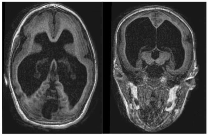 https://cdn.ncbi.nlm.nih.gov/pmc/blobs/5e54/9502411/87ffed59af20/viruses-14-01923-g001.jpg