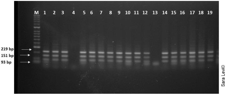 https://cdn.ncbi.nlm.nih.gov/pmc/blobs/5e57/9866054/f6fcc079c5b5/pathogens-12-00075-g004.jpg