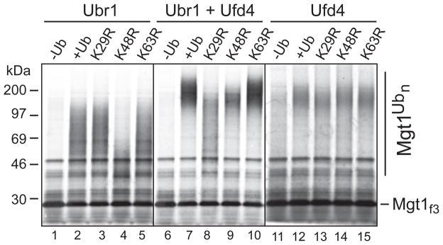 https://cdn.ncbi.nlm.nih.gov/pmc/blobs/5e58/3003441/2d23e42c2986/nihms247016f2.jpg