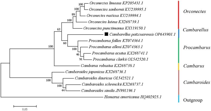https://cdn.ncbi.nlm.nih.gov/pmc/blobs/5e5c/12180320/152031015dbb/TMDN_A_2519197_F0003_C.jpg