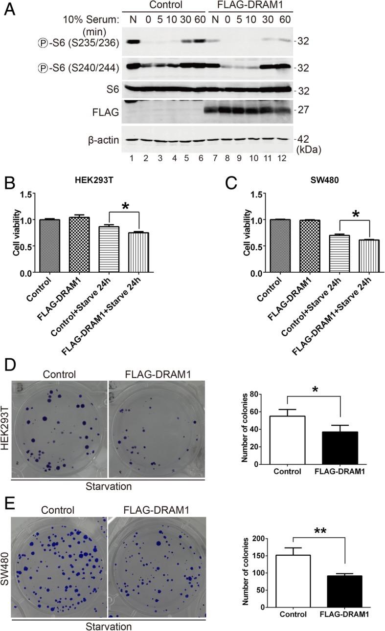 https://cdn.ncbi.nlm.nih.gov/pmc/blobs/5e5d/6431019/42370ca7faad/12964_2019_341_Fig6_HTML.jpg
