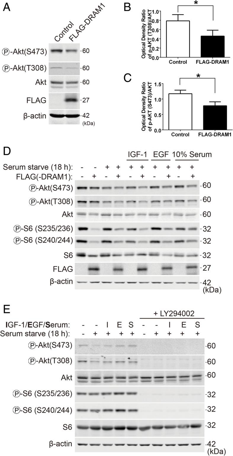 https://cdn.ncbi.nlm.nih.gov/pmc/blobs/5e5d/6431019/d9e89321487f/12964_2019_341_Fig3_HTML.jpg