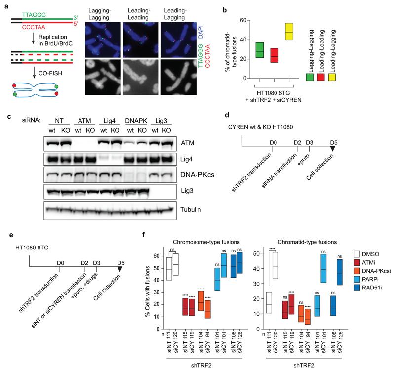 https://cdn.ncbi.nlm.nih.gov/pmc/blobs/5e60/5624508/0540daa99521/emss-73757-f007.jpg