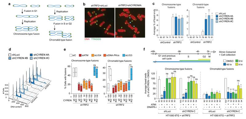 https://cdn.ncbi.nlm.nih.gov/pmc/blobs/5e60/5624508/05a0cf75381a/emss-73757-f001.jpg