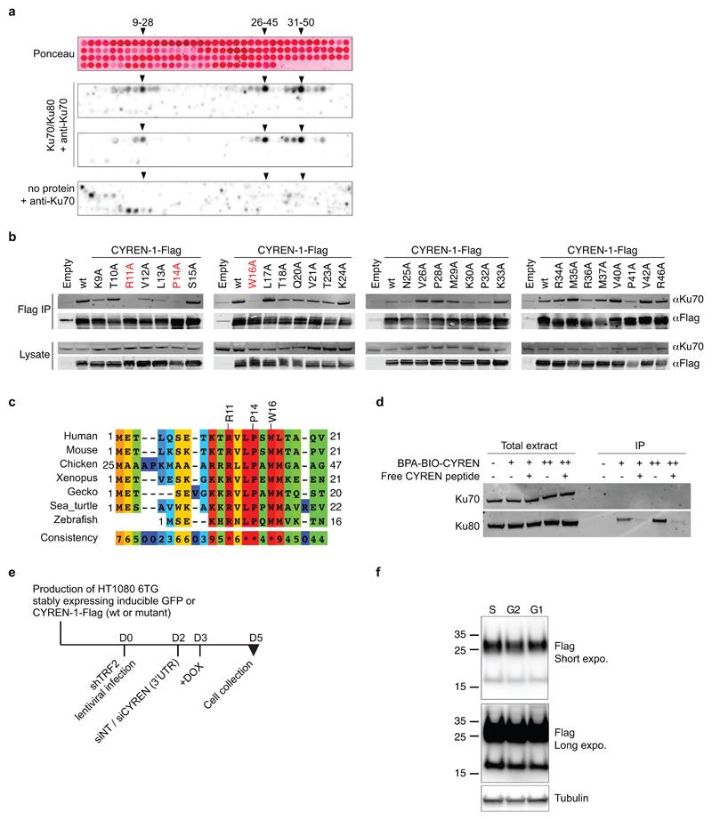 https://cdn.ncbi.nlm.nih.gov/pmc/blobs/5e60/5624508/0a4f7280a4ca/emss-73757-f011.jpg