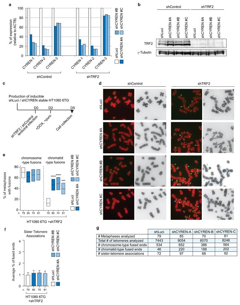 https://cdn.ncbi.nlm.nih.gov/pmc/blobs/5e60/5624508/539814c77525/emss-73757-f005.jpg